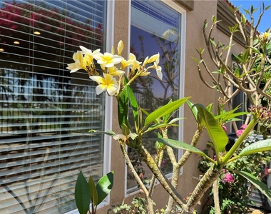 77184 California Drive - Photo Thumbnail 27