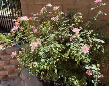77184 California Drive - Photo Thumbnail 25
