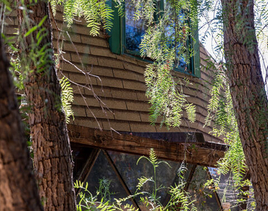 20269 Croydon Lane - Photo Thumbnail 19