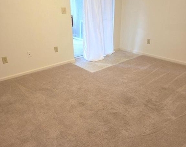 20321 Kellys Lane - Photo Thumbnail 8