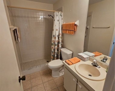 14831 Summerlin Woods Drive - Photo Thumbnail 15