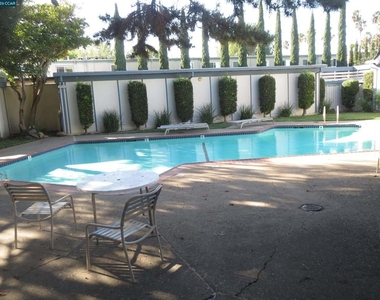 1591 Ellis St. - Photo Thumbnail 6