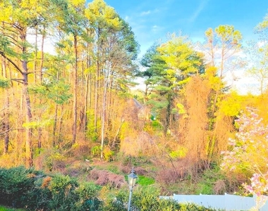 1289 Ballantrae Farm Drive - Photo Thumbnail 53