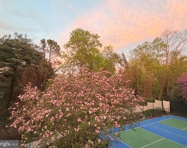 1289 Ballantrae Farm Drive - Photo Thumbnail 50