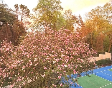 1289 Ballantrae Farm Drive - Photo Thumbnail 75