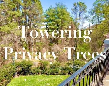 1289 Ballantrae Farm Drive - Photo Thumbnail 69