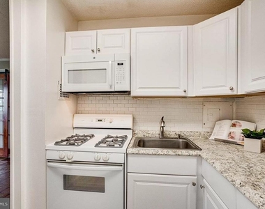 1225 Martha Custis Drive - Photo Thumbnail 7