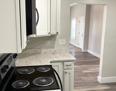 62 Dumas Street - Photo Thumbnail 15