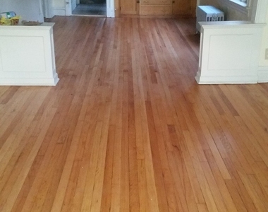 6221 S Laflin Street - Photo Thumbnail 1