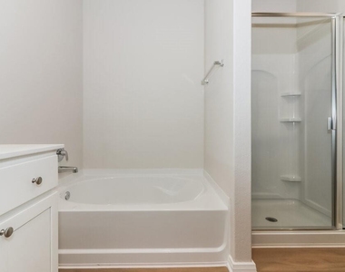 429 San Miguel Creek Drive - Photo Thumbnail 10