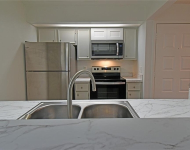 4207 Winding Moss Trail - Photo Thumbnail 12