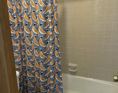 504 E University Avenue - Photo Thumbnail 20