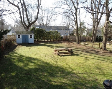 13 Wilcox Street - Photo Thumbnail 3