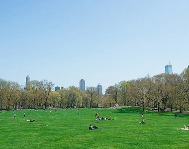 46 West 73rd Street - Photo Thumbnail 7