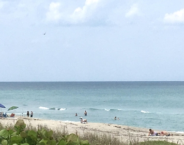 2929 Se Ocean Boulevard - Photo Thumbnail 21