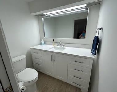 13383 Bedford Mews Court - Photo Thumbnail 48