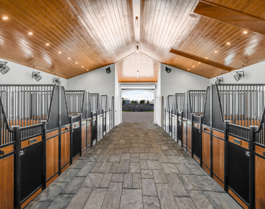 5181 Lasso Way - Photo Thumbnail 10