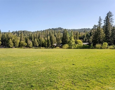 24656 Bernard - Photo Thumbnail 45