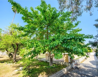 1635 Grandview Avenue - Photo Thumbnail 40