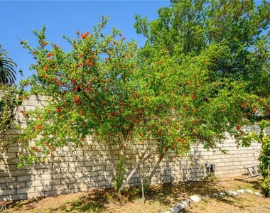 1635 Grandview Avenue - Photo Thumbnail 36