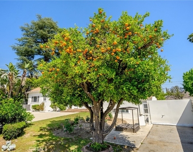 1635 Grandview Avenue - Photo Thumbnail 35