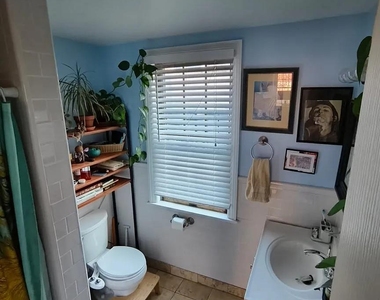 1009 Brown Street - Photo Thumbnail 10