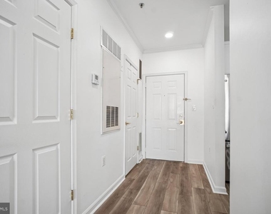 171 Somervelle Street - Photo Thumbnail 3