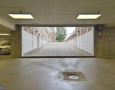 171 Somervelle Street - Photo Thumbnail 23