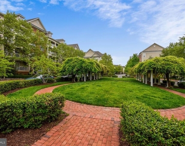 171 Somervelle Street - Photo Thumbnail 33