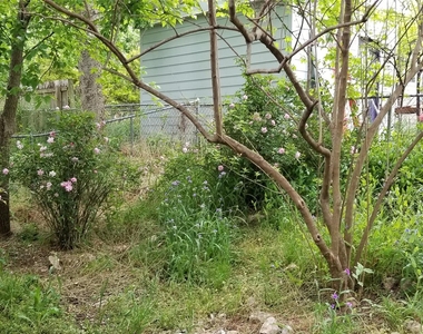 2114 Ann Arbor Ave - Photo Thumbnail 9