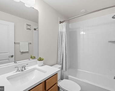 10501 John Glenn Street - Photo Thumbnail 26