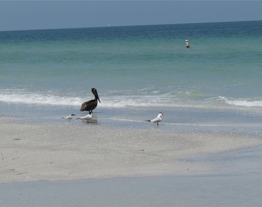 1451 Gulf Boulevard - Photo Thumbnail 36