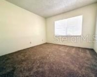 24862 Us Highway 19 N - Photo Thumbnail 5