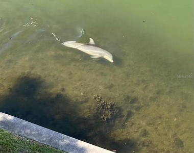 8800 Bay Pines Boulevard - Photo Thumbnail 28