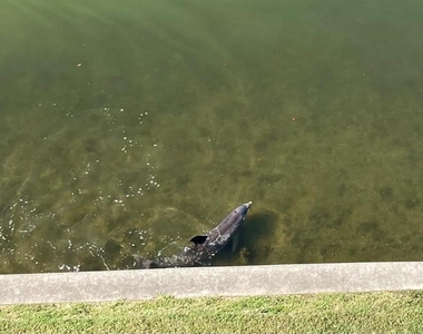 8800 Bay Pines Boulevard - Photo Thumbnail 27