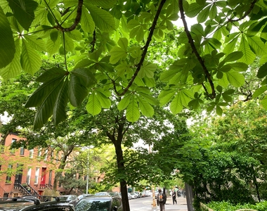 South Park Slope/Greenwood Heights border - Photo Thumbnail 9