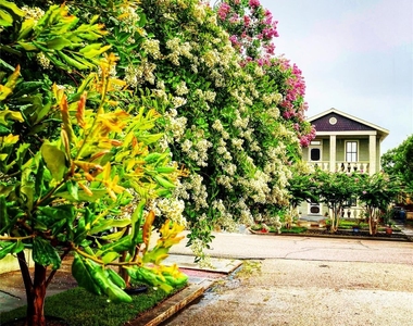 2010 Strand St - Photo Thumbnail 13