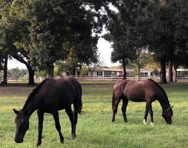 26427 1/2 Dobbin Huffsmith Rd Road - Photo Thumbnail 1