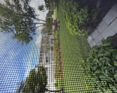 389 Fanshaw - Photo Thumbnail 6