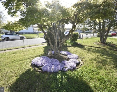 3931 Dominion Drive - Photo Thumbnail 35
