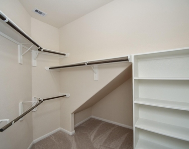 2738 Meandering Elm Trail - Photo Thumbnail 17