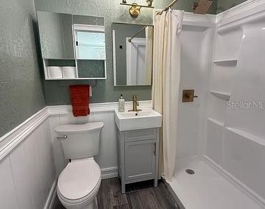 217 Oakland Avenue - Photo Thumbnail 10