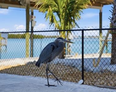 220 Mockingbird Street - Photo Thumbnail 60