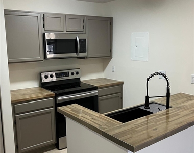 18809 Vineyard Point Lane - Photo Thumbnail 3