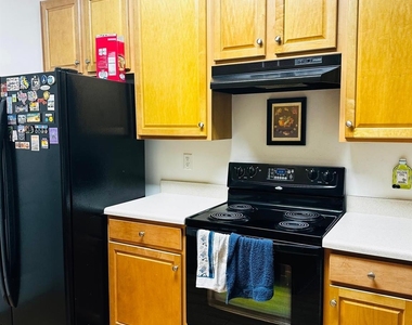 9811 Hyde Glen Court - Photo Thumbnail 3