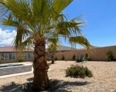 41867 Regona Road - Photo Thumbnail 45