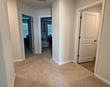 115 Grasmere Street - Photo Thumbnail 14
