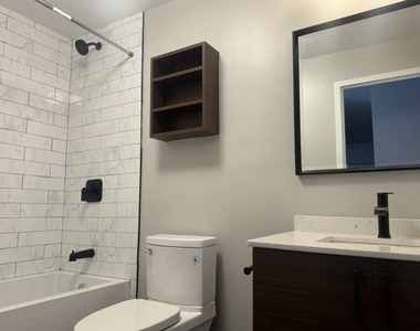 1212 S Michigan Avenue - Photo Thumbnail 3