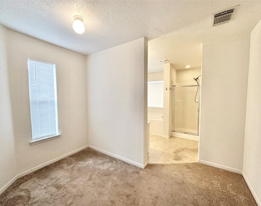 17002 Irish Oaks Court - Photo Thumbnail 15