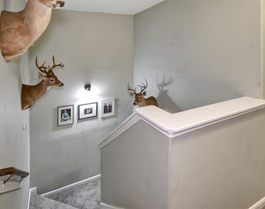 25401 Hunting Trail - Photo Thumbnail 27